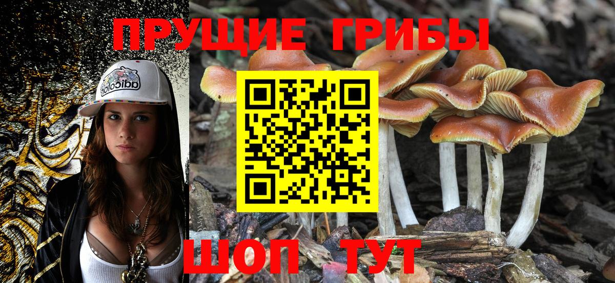 Омск  Псилоцибиновые грибы Magic Shrooms  Вход с VPN 